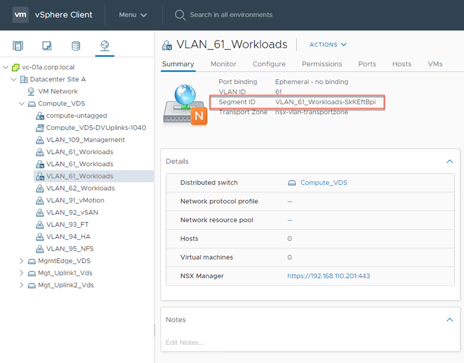 Working with NSX-T 3.0 and VDS 7.0 – Duplicate Port Group Names – SneakU